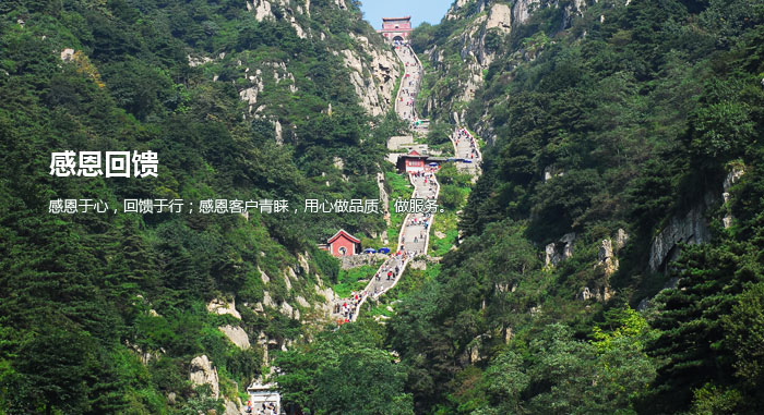 �ж�����